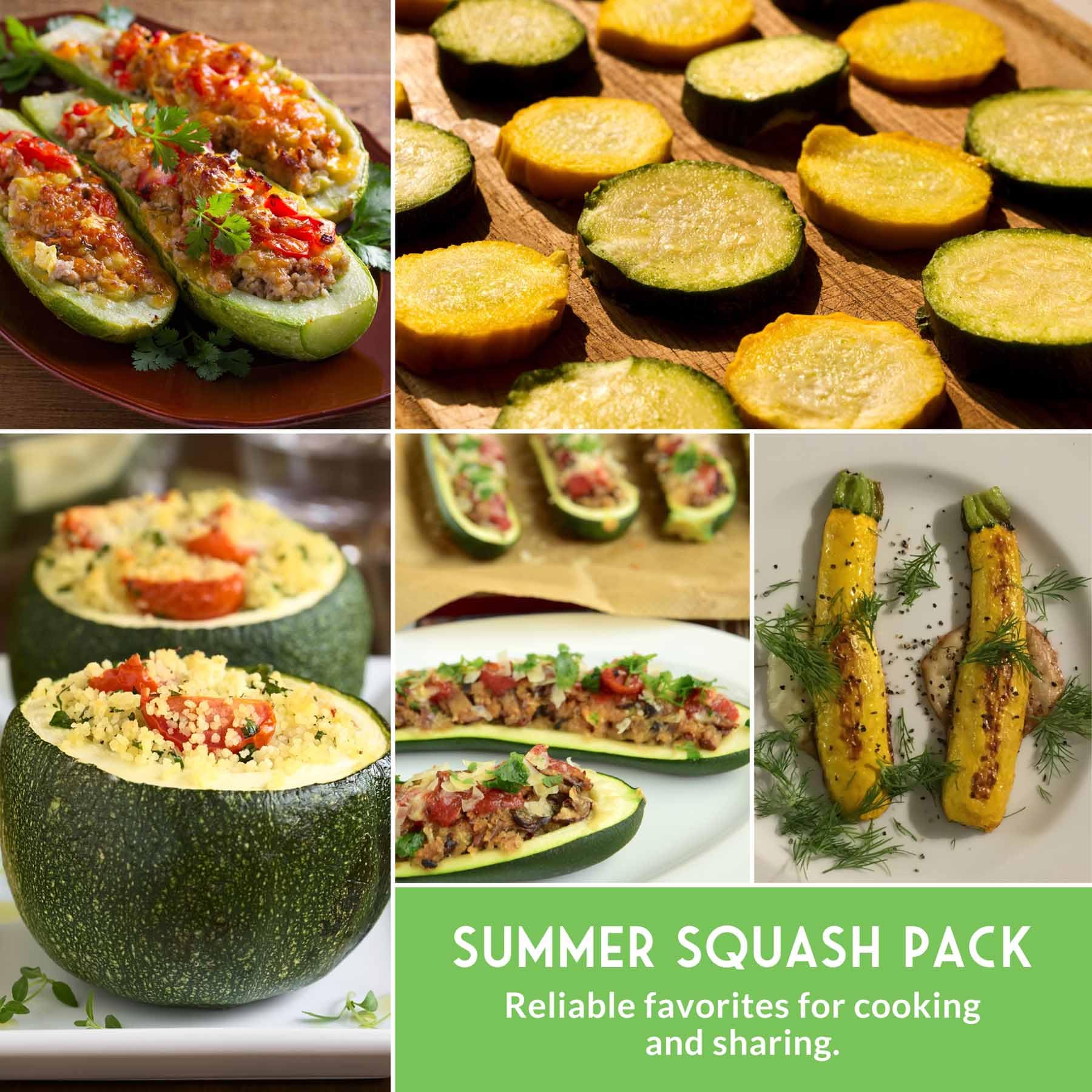 Survival Garden Seeds open-pollinated heirloom seed packaging with growing tips