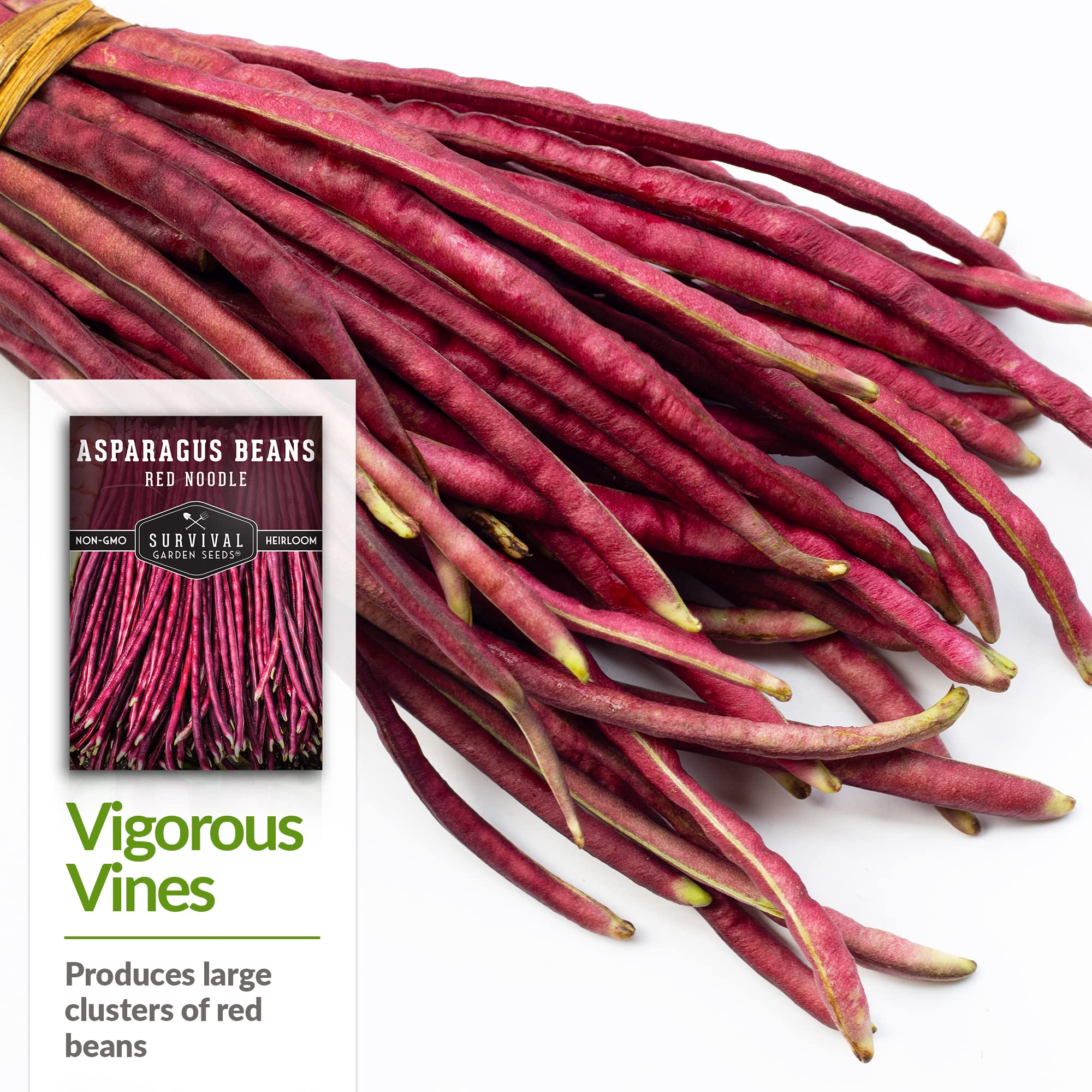 SURVIVAL GARDEN SEEDS open-pollinated heritage seeds closeup emphasizing non-GMO lineage.