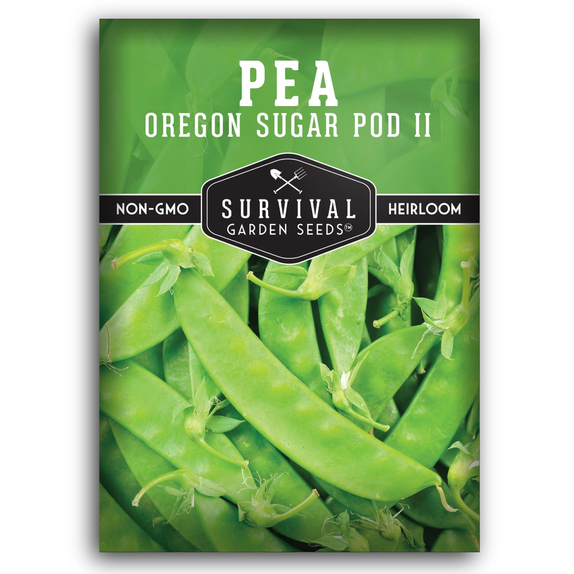 SURVIVAL GARDEN SEEDS Oregon Sugar Pod II pods on vine for fresh snacking.