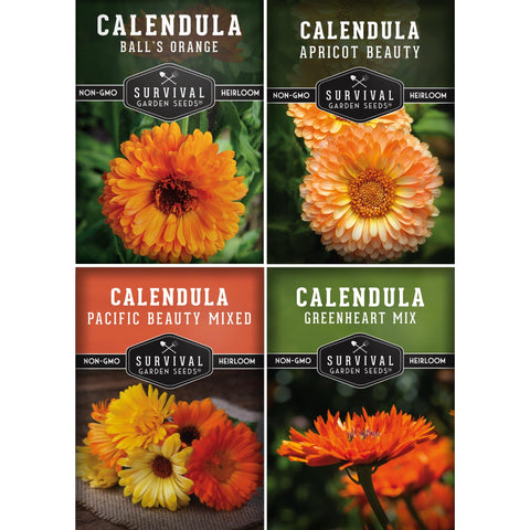 Survival Garden Seeds Pacific Beauty calendula bloom brightening flower bed and border