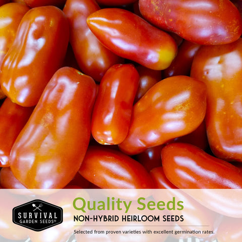 SURVIVAL GARDEN SEEDS paste tomatoes close-up thick flesh for pastes