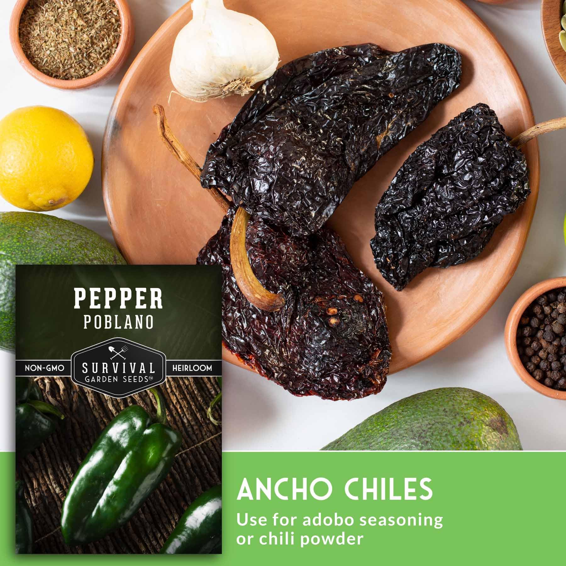 Survival Garden Seeds poblano pepper on stem, ideal for vertical garden spaces.