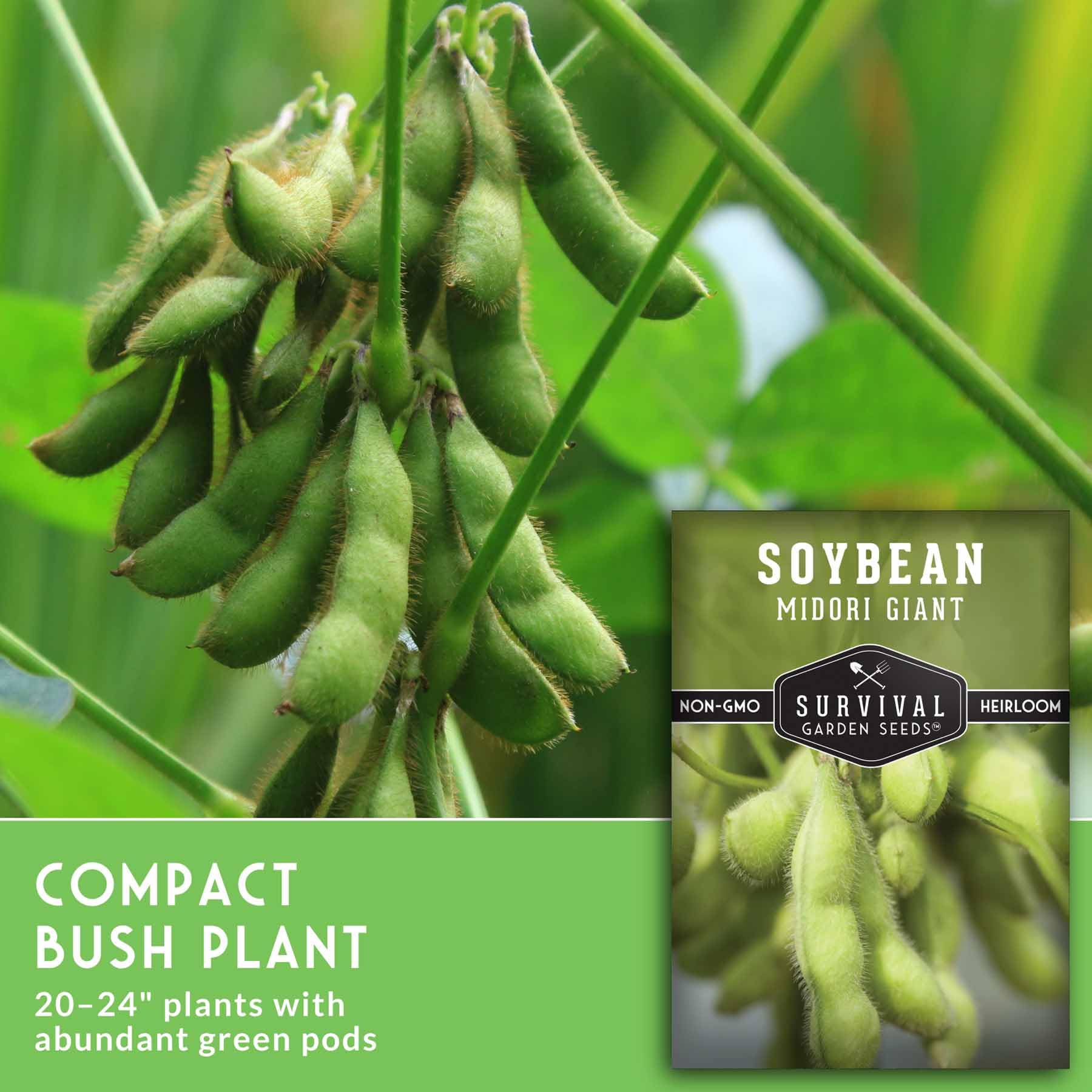 SURVIVAL GARDEN SEEDS pods-freeze-friendly ideal for long term storage