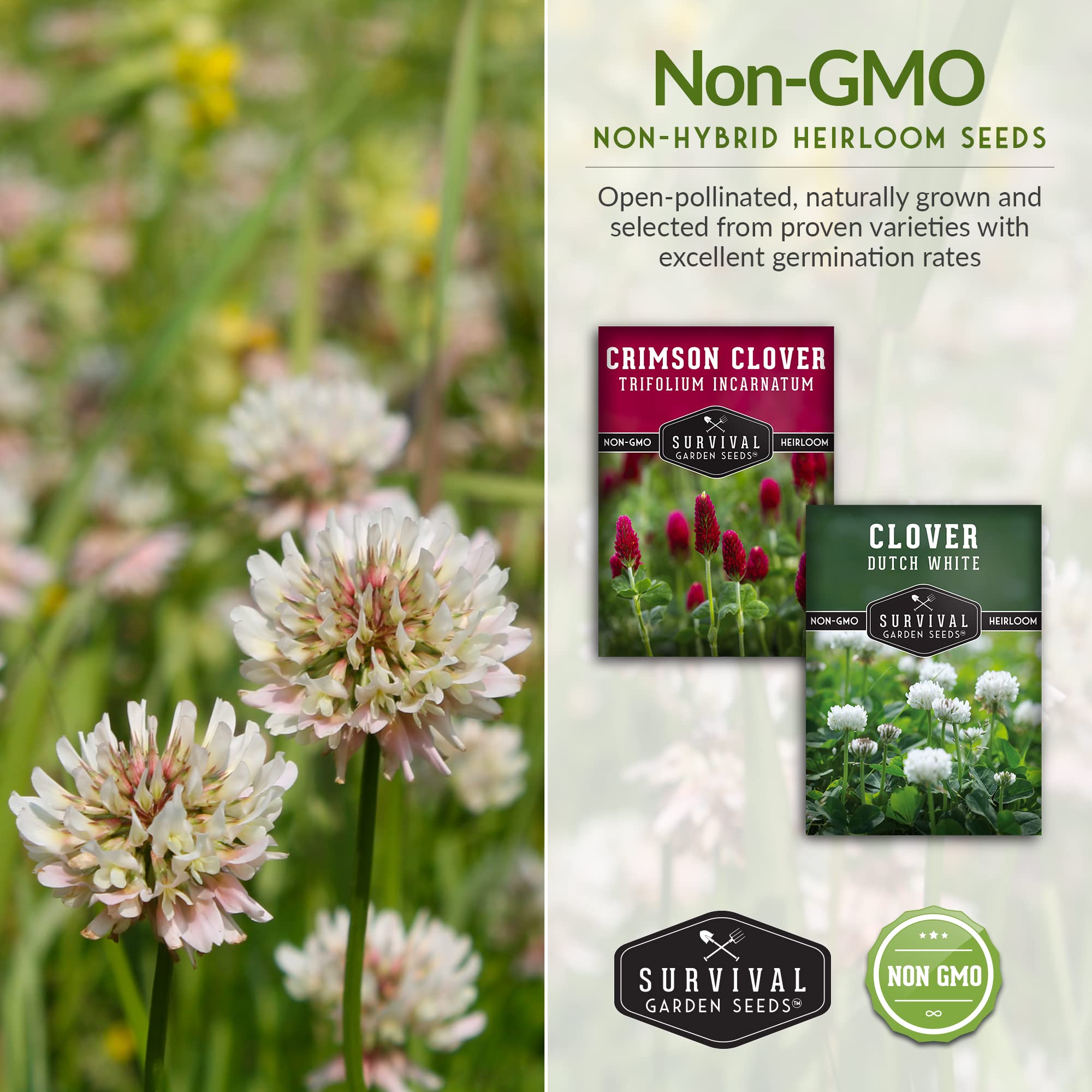 SURVIVAL GARDEN SEEDS Pollinator-friendly blooms attract bees and helpful insects