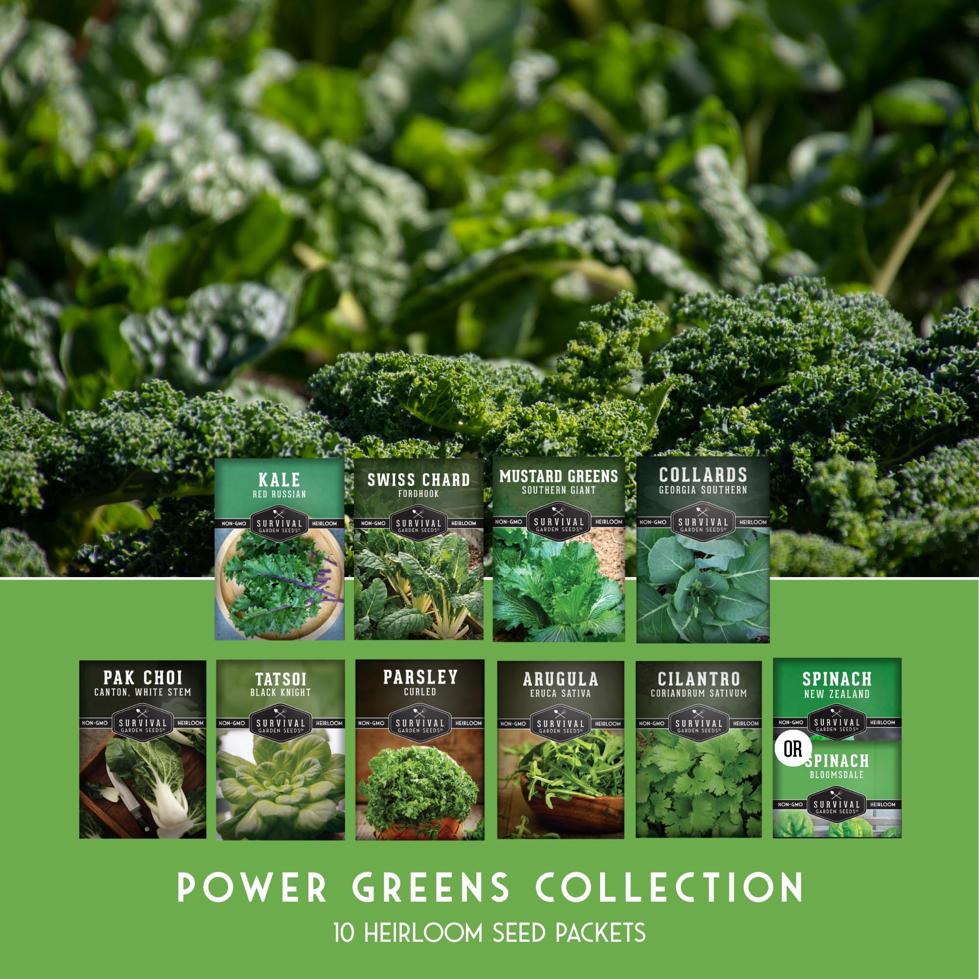 SURVIVAL GARDEN SEEDS power greens germination stage seedlings in soil.