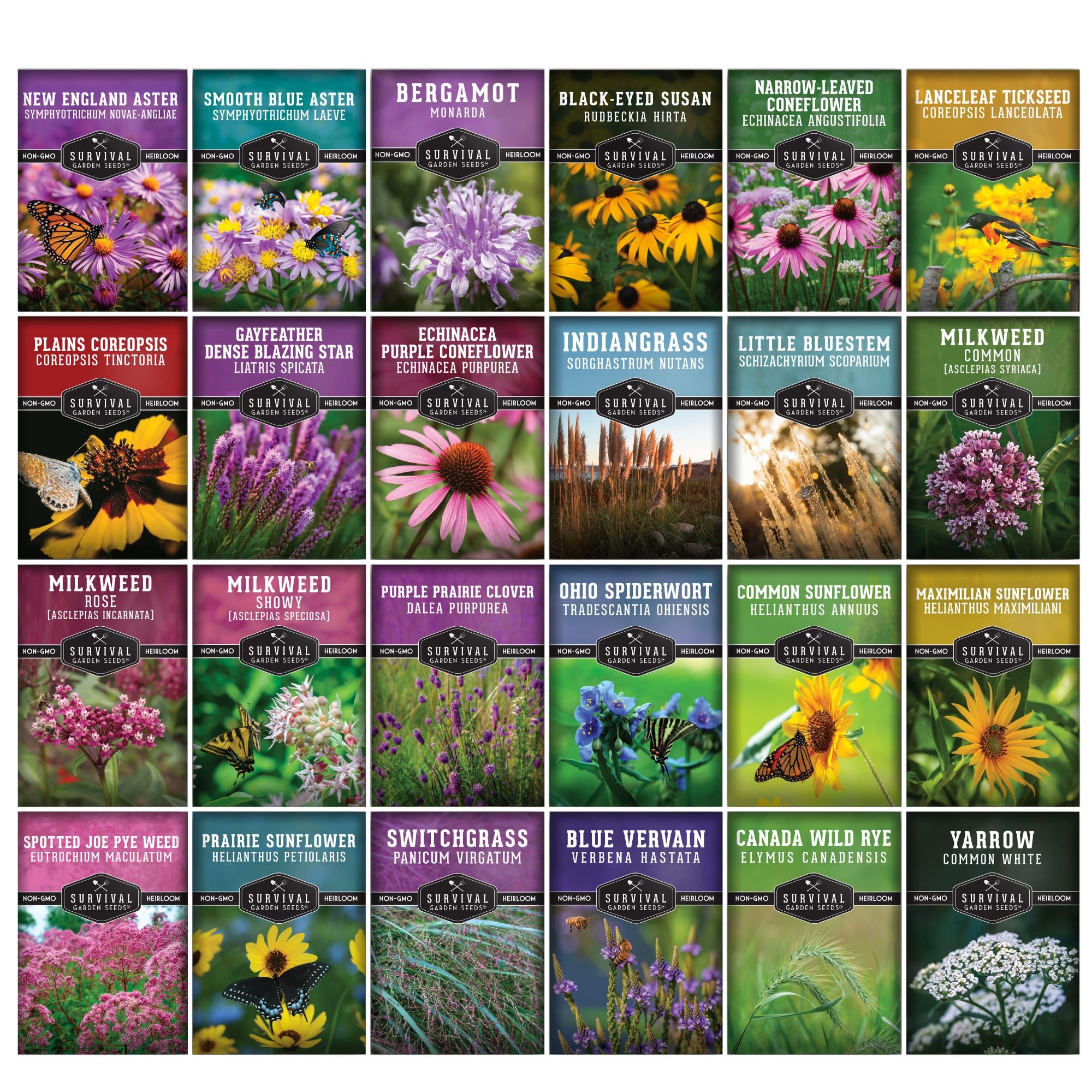 Survival Garden Seeds purple coneflower bloom adds long-lasting color for wildlife-friendly gardens.
