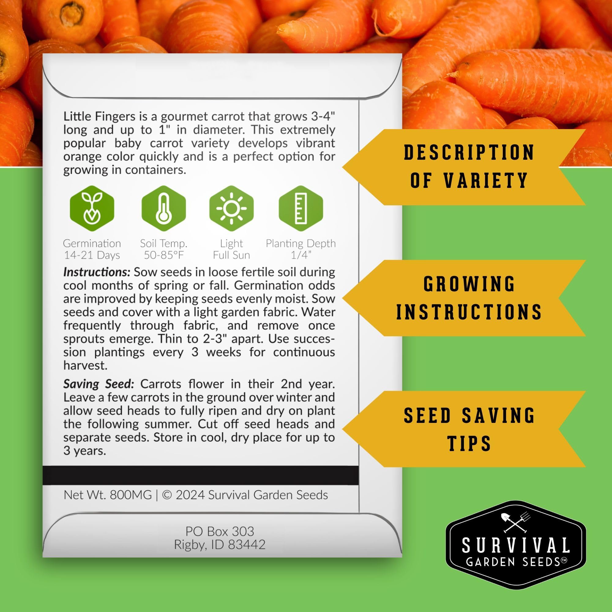 Survival Garden Seeds quick harvest visuals for lettuce and tomatoes in home gardens.