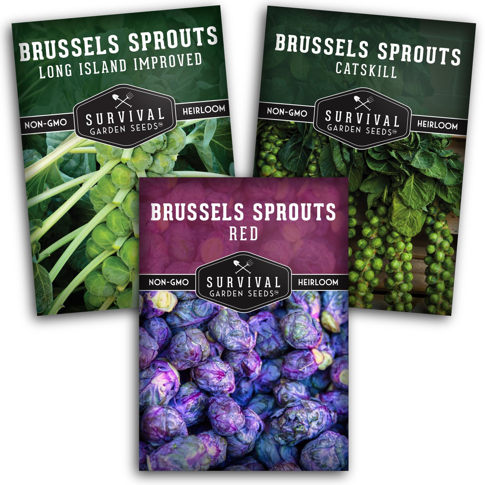 SURVIVAL GARDEN SEEDS red-brussels-sprouts-seed-pack for colorful, flavorful harvests.