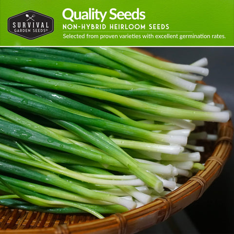 Survival Garden Seeds Red Burgundy onion seed pack for flavorful bulbs.