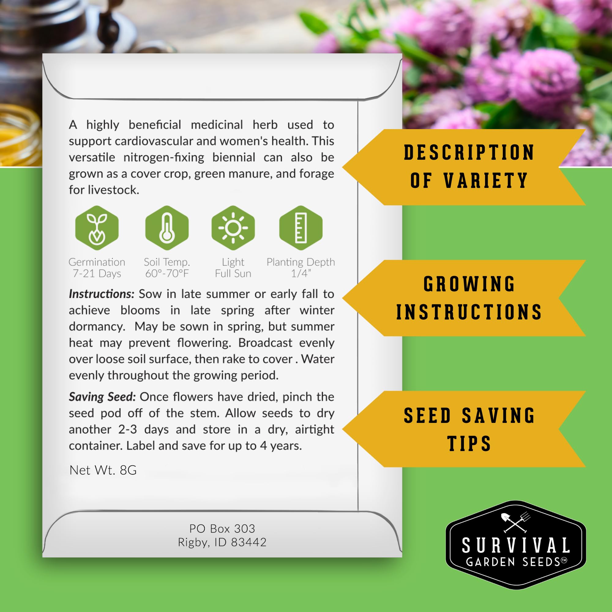 Red clover soil cover from Survival Garden Seeds demonstrates soil-building potential.