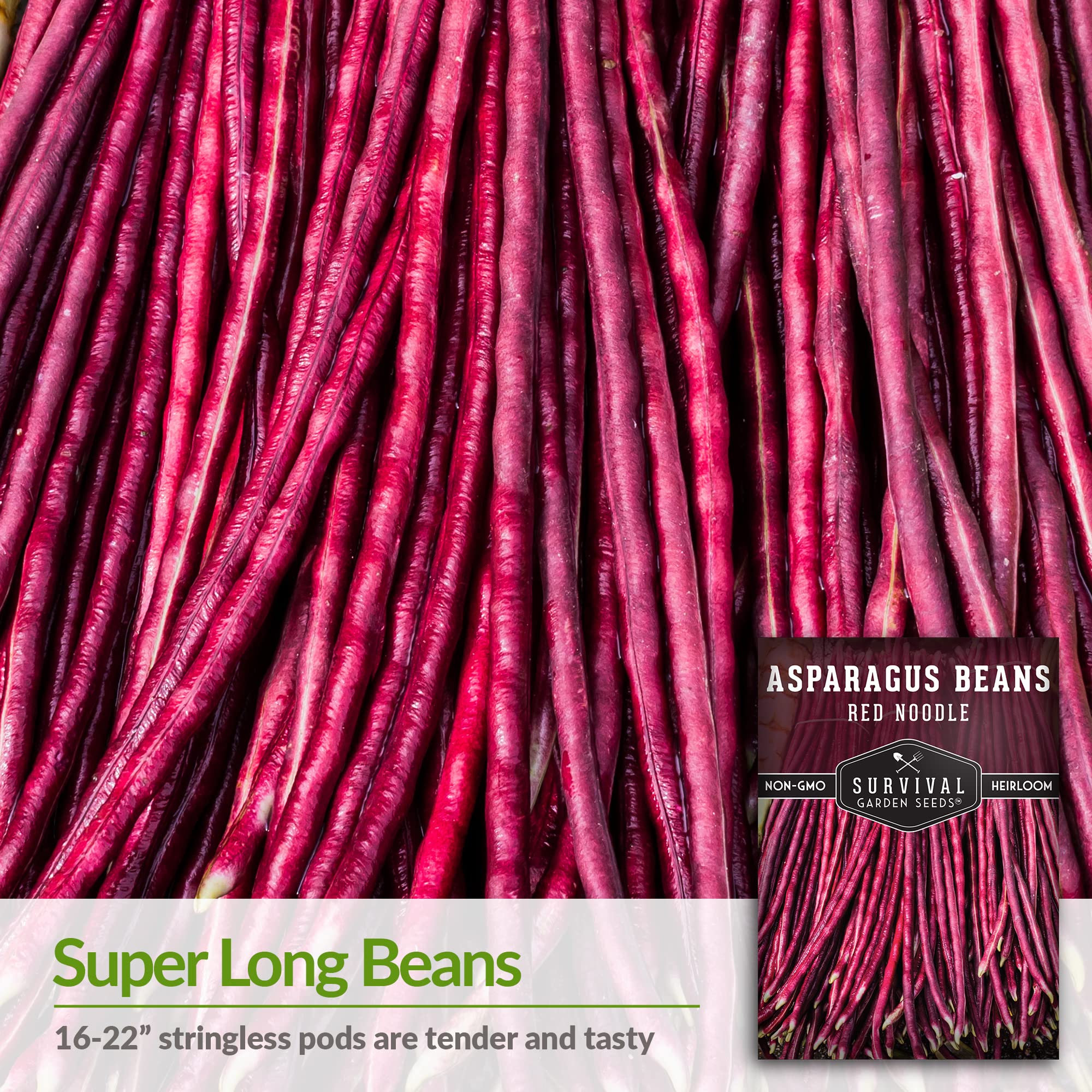 SURVIVAL GARDEN SEEDS red noodle asparagus bean vines on trellis thriving in sun.