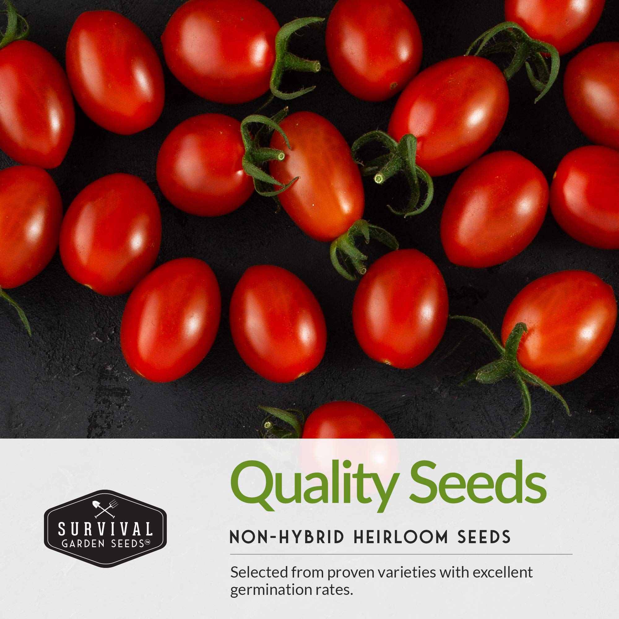 Survival Garden Seeds salsa kit garden setup image for planning raised beds