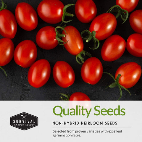 Survival Garden Seeds salsa kit garden setup image for planning raised beds