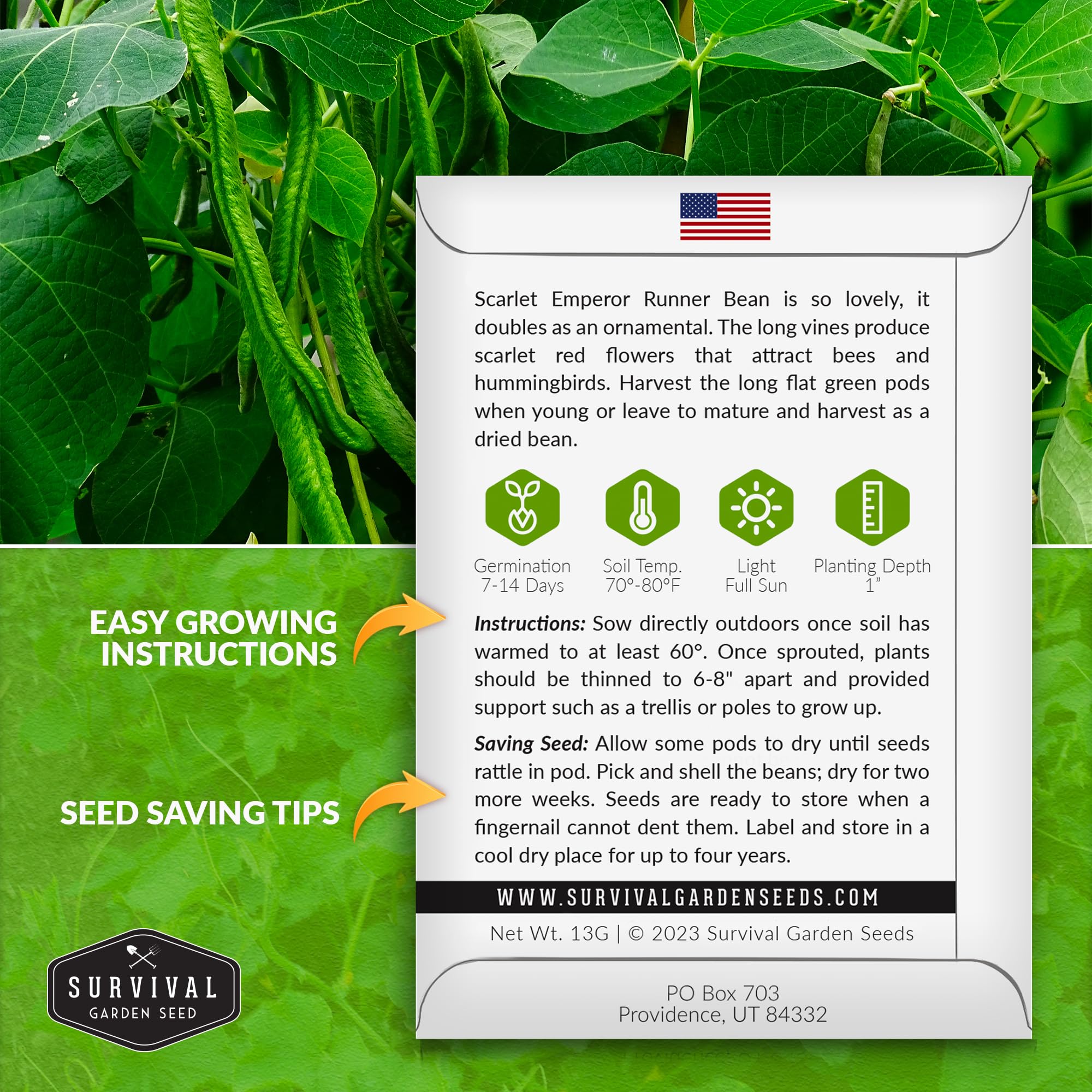 Scarlet Emperor bean flowers enrich the garden and attract pollinators