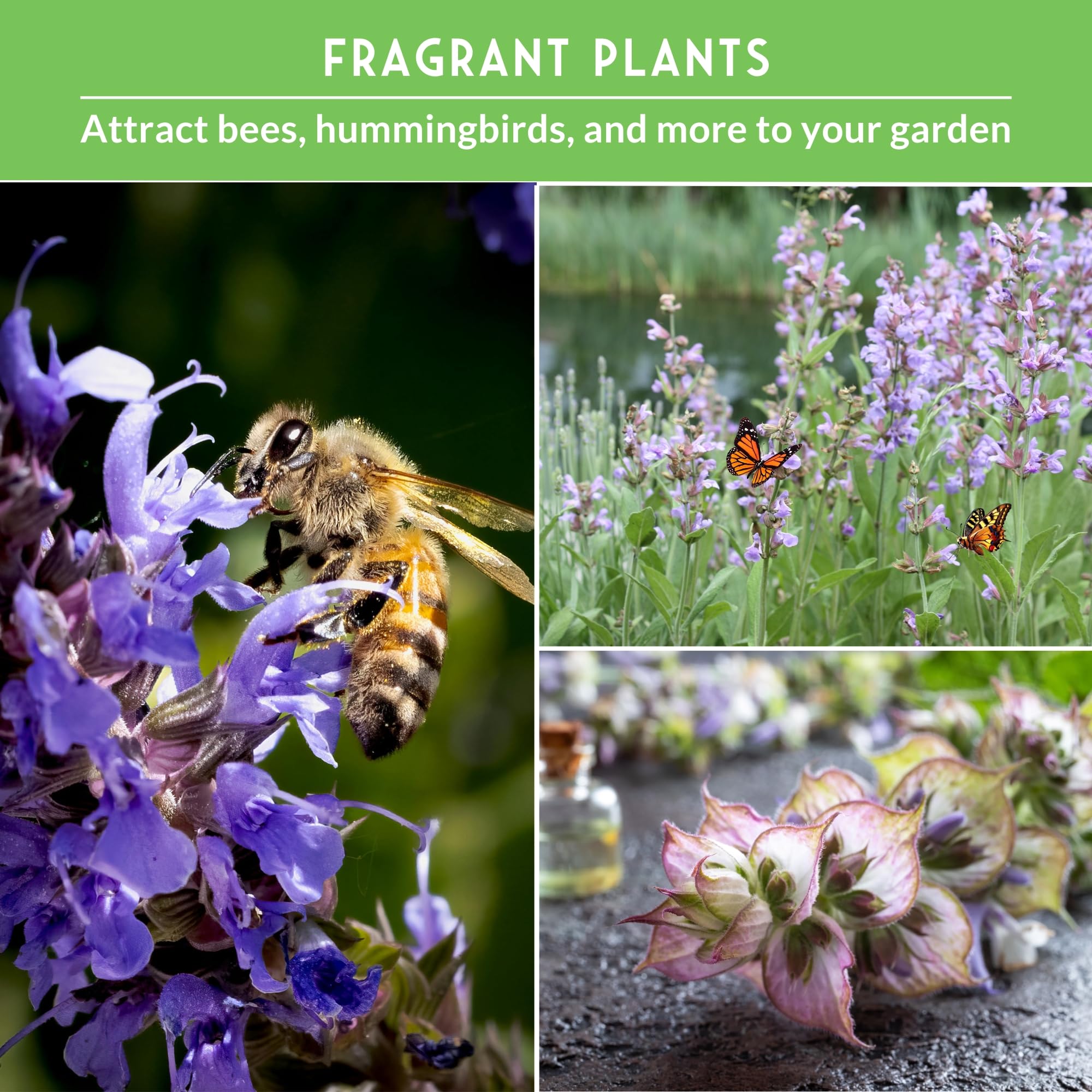 SURVIVAL GARDEN SEEDS seed packet with growing and seed-saving instructions