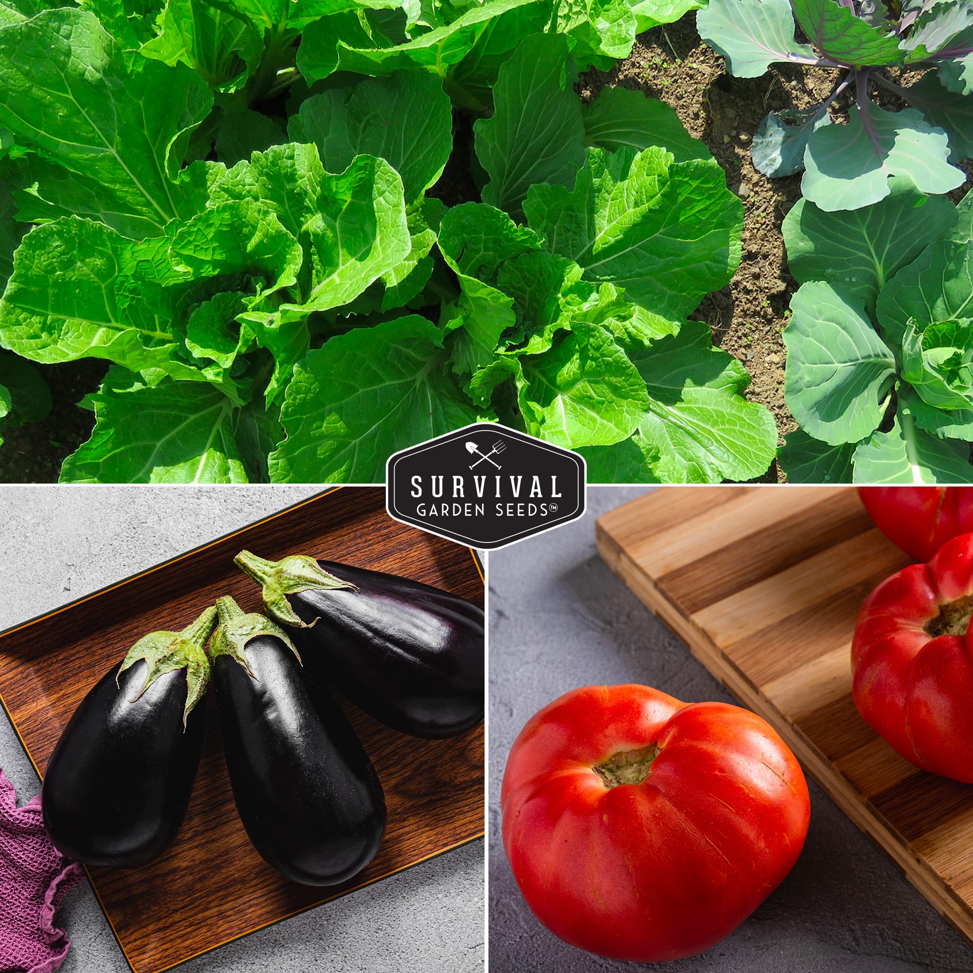 SURVIVAL GARDEN SEEDS National Pickling cucumber seed for crisp, garden-fresh cucumbers.