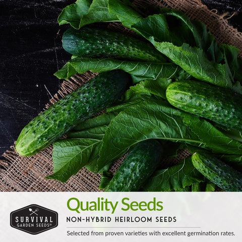SURVIVAL GARDEN SEEDS Parris Island lettuce seed for crisp greens.