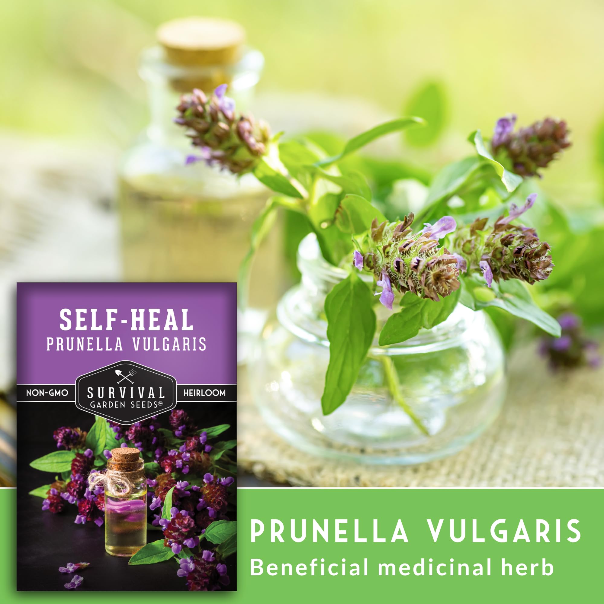 SURVIVAL GARDEN SEEDS Self-Heal ground-cover habit adds year-round greenery.
