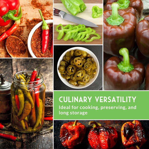 Serrano pepper seeds for medium heat and reliable yields from SURVIVAL GARDEN SEEDS