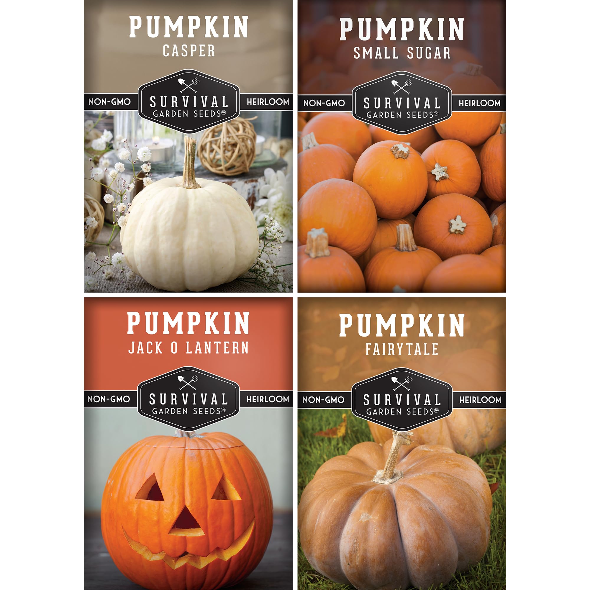 Survival Garden Seeds small sugar pumpkin packaging ideal for home gardens.