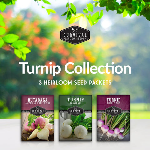 SURVIVAL GARDEN SEEDS Snowball White Turnip seed pack features crisp bulbs for fresh roasts.