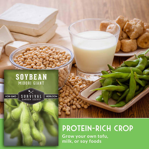 SURVIVAL GARDEN SEEDS soybean-plants-20-24in compact growth for small gardens