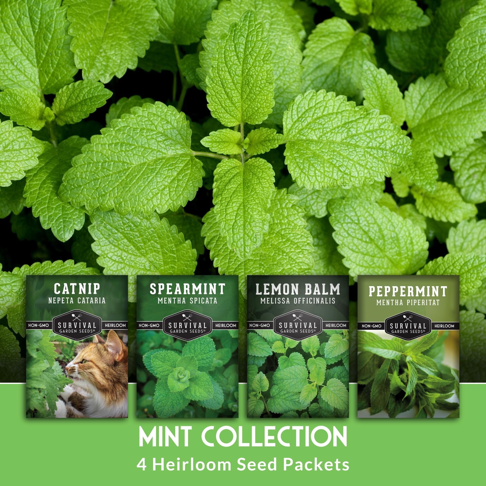 SURVIVAL GARDEN SEEDS spearmint seed packet ideal for culinary greens and fresh garnishes.