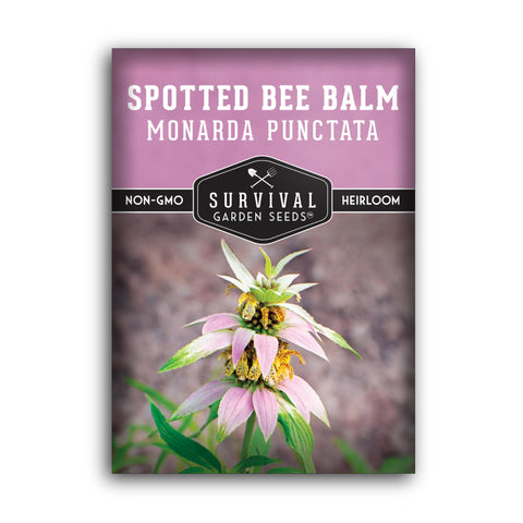 Survival Garden Seeds Spotted Beebalm seed packet with clear planting instructions for home gardens.