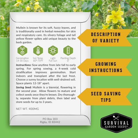 Survival Garden Seeds St John's Wort seed packet for vibrant herb blooms
