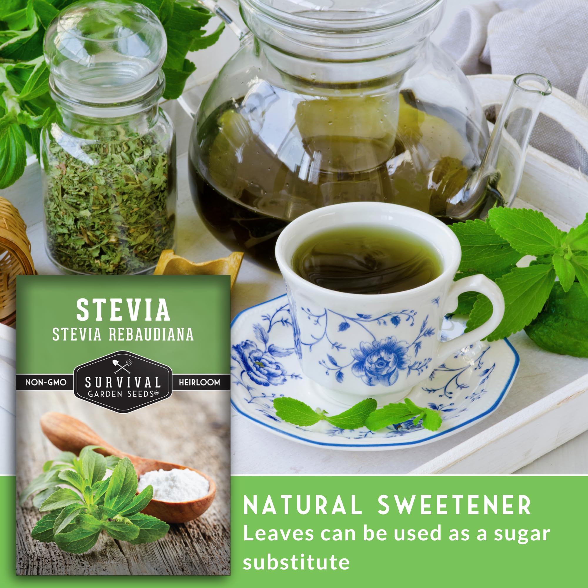 Survival Garden Seeds stevia grown indoors under grow lights for year-round harvest.