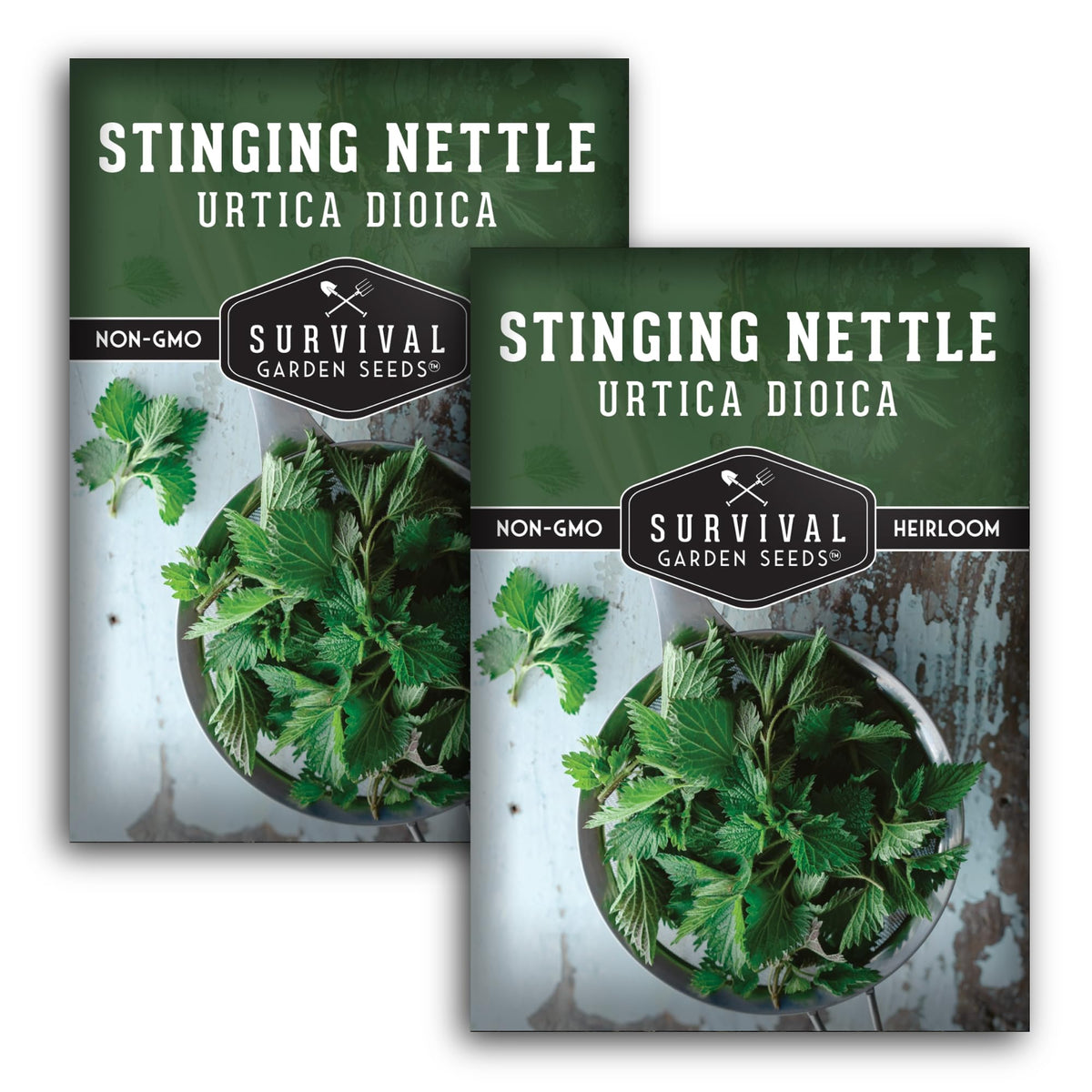 SURVIVAL GARDEN SEEDS stinging nettle seed pack for perennial planting and easy growing