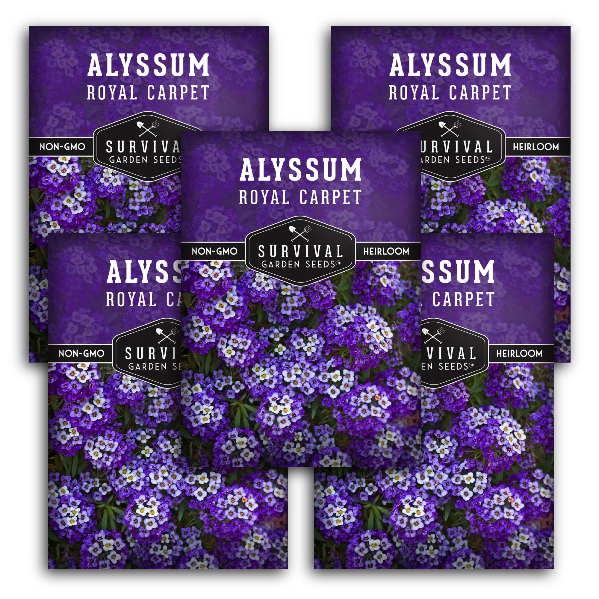 SURVIVAL GARDEN SEEDS Sweet Royal Carpet Alyssum blooms forming fragrant border carpet