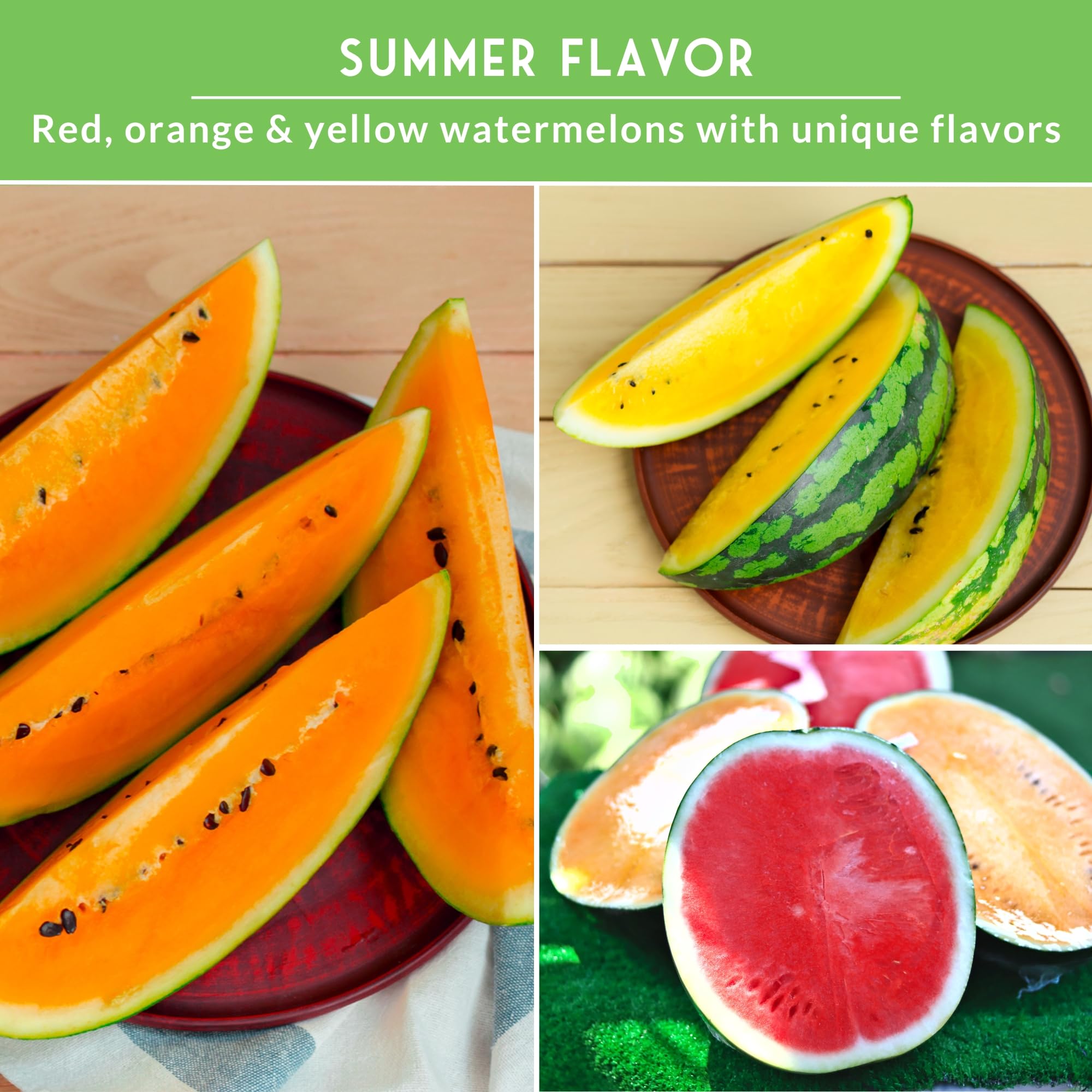Tendersweet Orange watermelon fruit from SURVIVAL GARDEN SEEDS