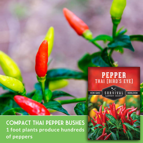 SURVIVAL GARDEN SEEDS Thai chili peppers closeup, vibrant red heat for everyday cooking.