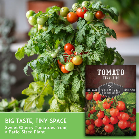 Survival Garden Seeds Tiny Tim grows 12–18 inches tall in pots