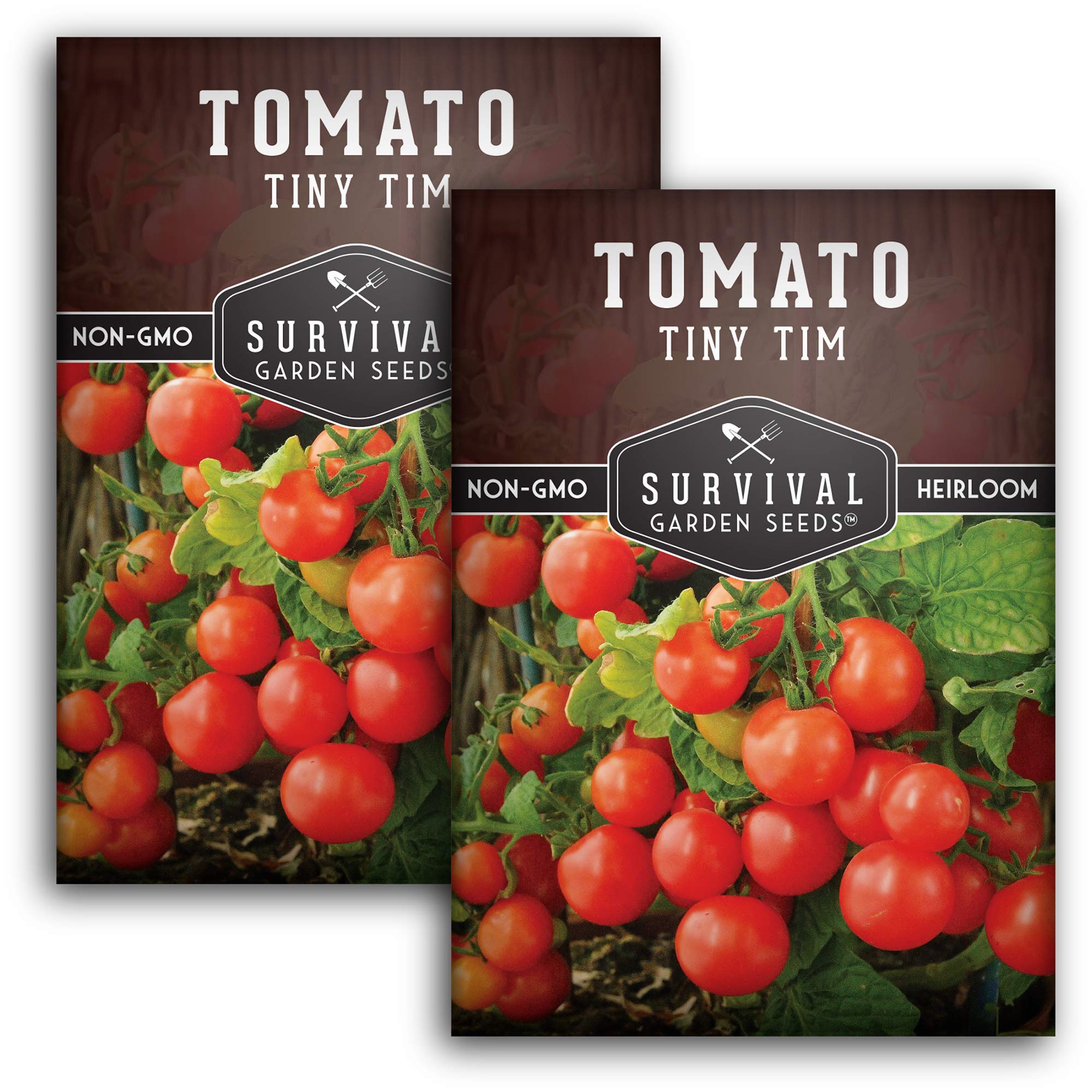 Survival Garden Seeds Tiny Tim tomato plant in compact-dwarf form for small-space growing