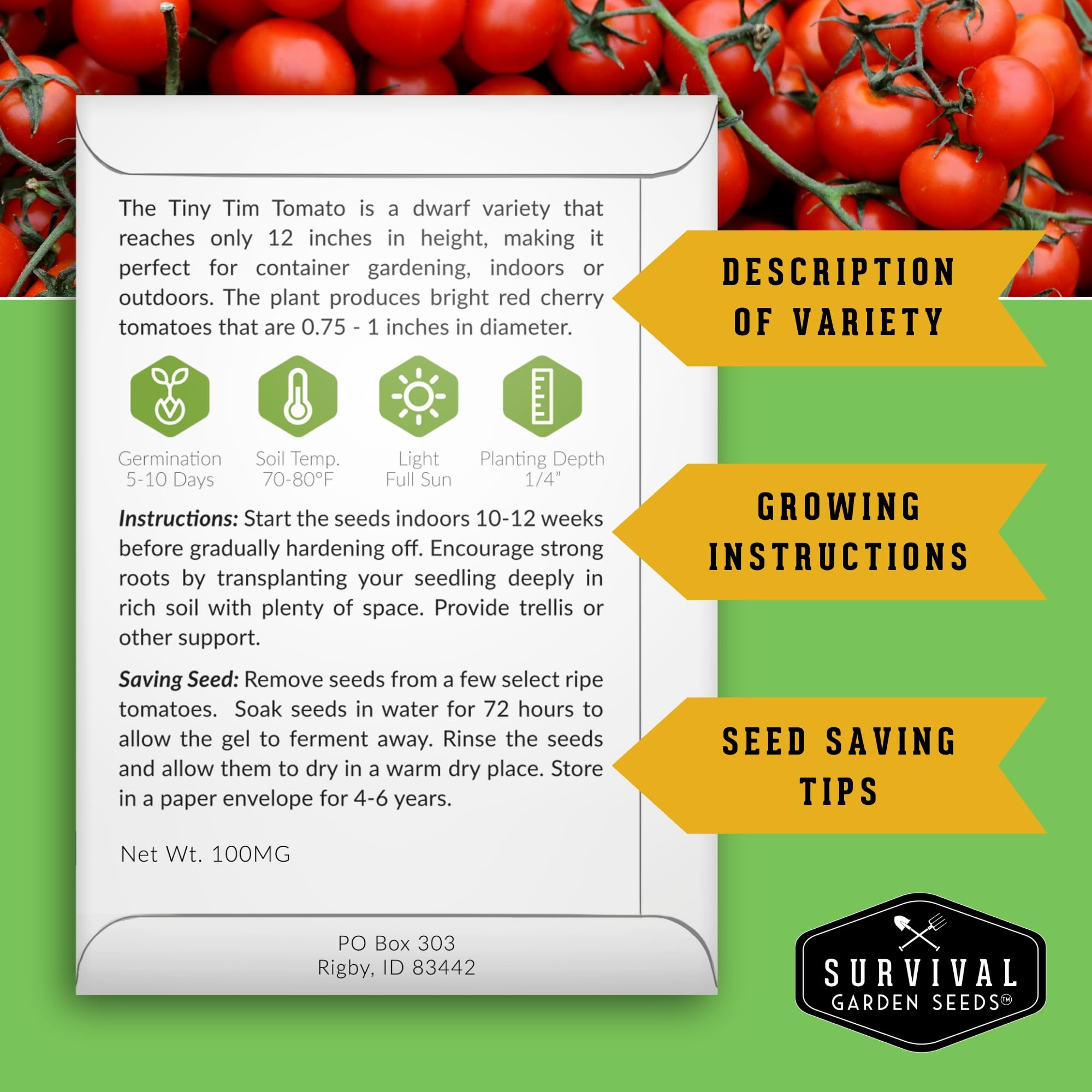 Survival Garden Seeds Tiny Tim tomatoes in container harvest-ready clusters