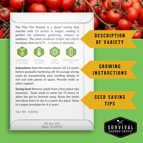 Survival Garden Seeds Tiny Tim tomatoes in container harvest-ready clusters