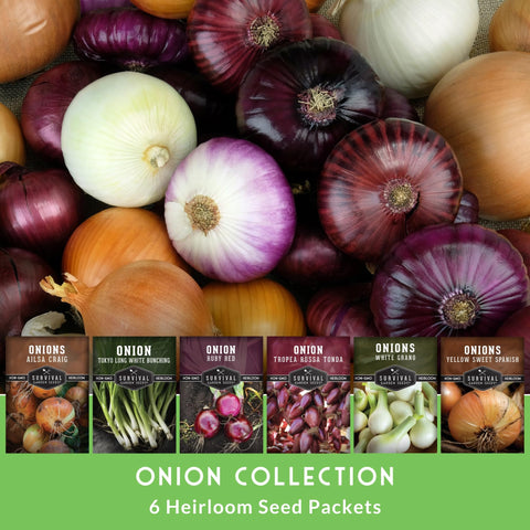 Survival Garden Seeds Tokyo Long White Bunching onions with tender greens for stir-fries.