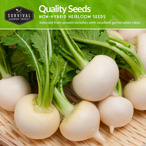 SURVIVAL GARDEN SEEDS Turnip Greens Harvest shows tender greens ideal for quick salads.