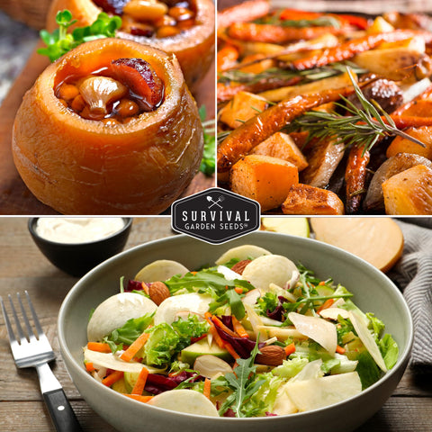 SURVIVAL GARDEN SEEDS Turnip Root Collection showcases crisp bulbs suitable for roasting.