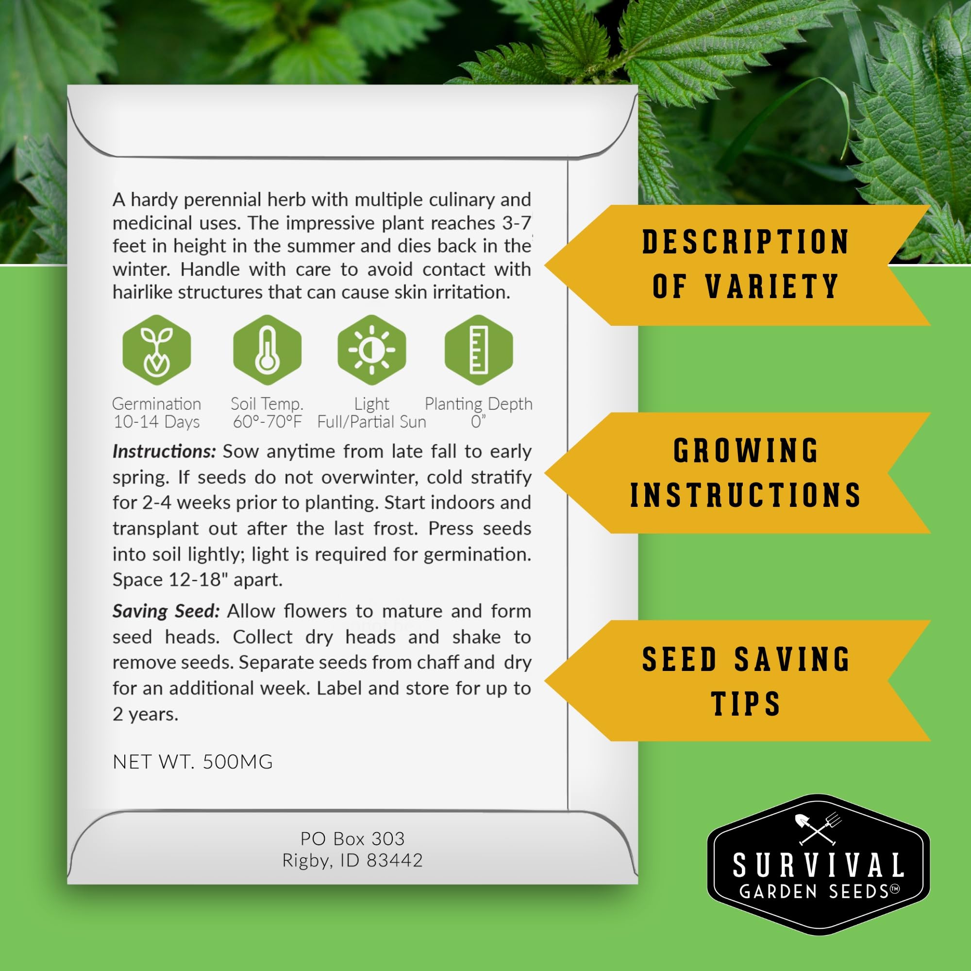 SURVIVAL GARDEN SEEDS nettle seedling showing early growth in soil