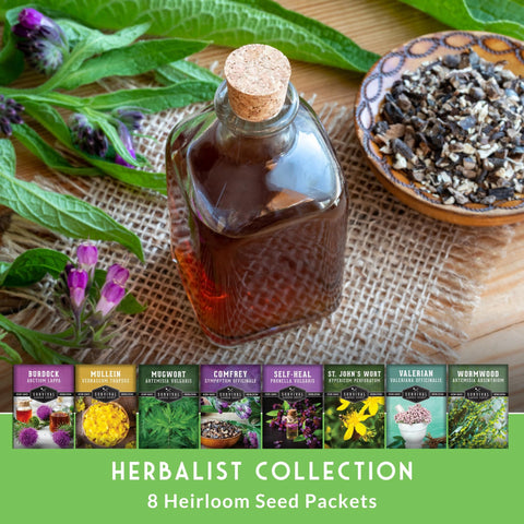 Survival Garden Seeds valerian seed collection for perennial roots