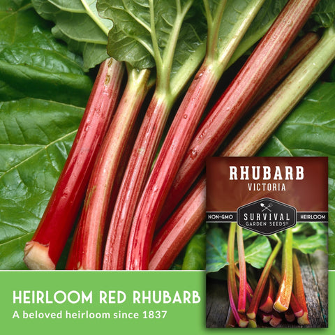Survival Garden Seeds Victoria Rhubarb cold-hardiness chart showing zones 3-8 suitability.