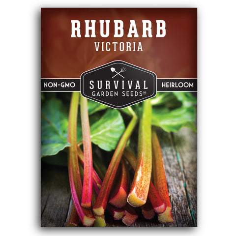 Survival Garden Seeds Victoria Rhubarb seed pack ready for spring planting and easy germination.
