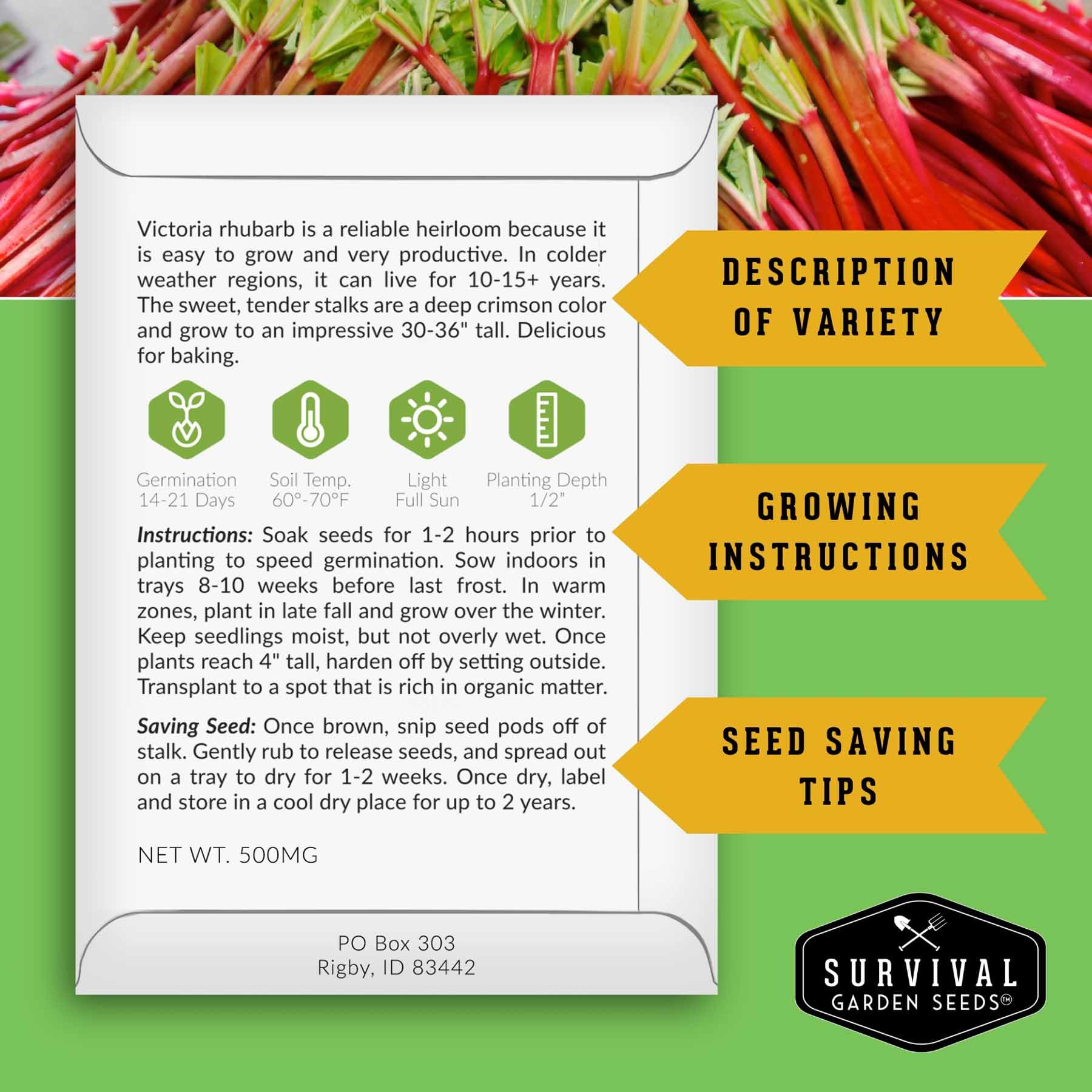 Victoria rhubarb seeds by Survival Garden Seeds with germination tips for beginners