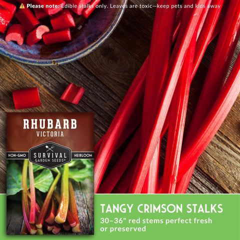 Crimson Victoria rhubarb stalks provide vibrant color and tangy flavor ideas