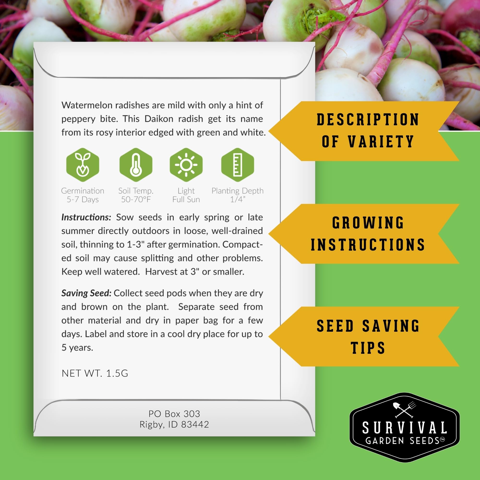 Survival Garden Seeds watermelon radish seed pack—crisp roots for fresh salads.