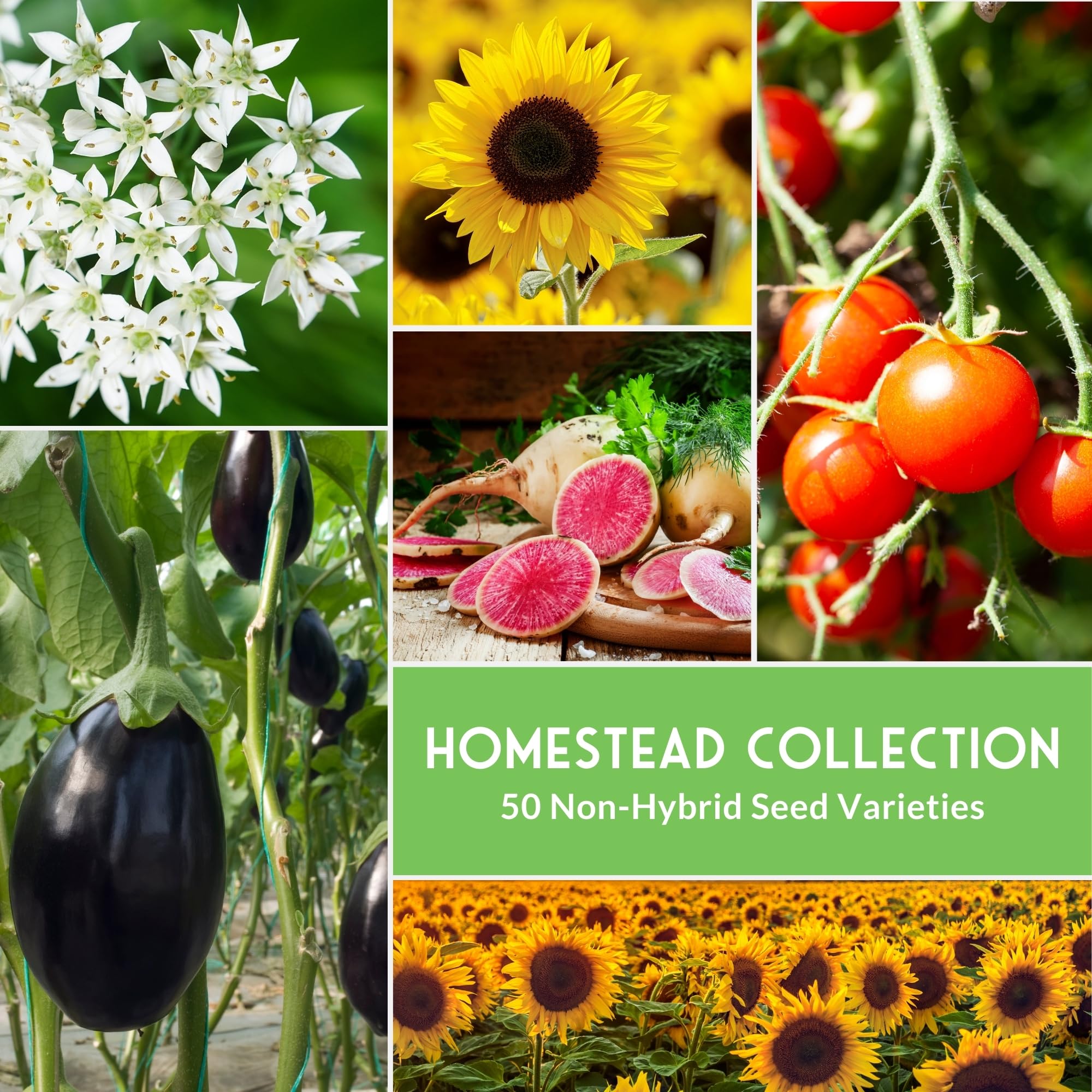 SURVIVAL GARDEN SEEDS waterproof seed vault pouch emphasizes protection against light and moisture.