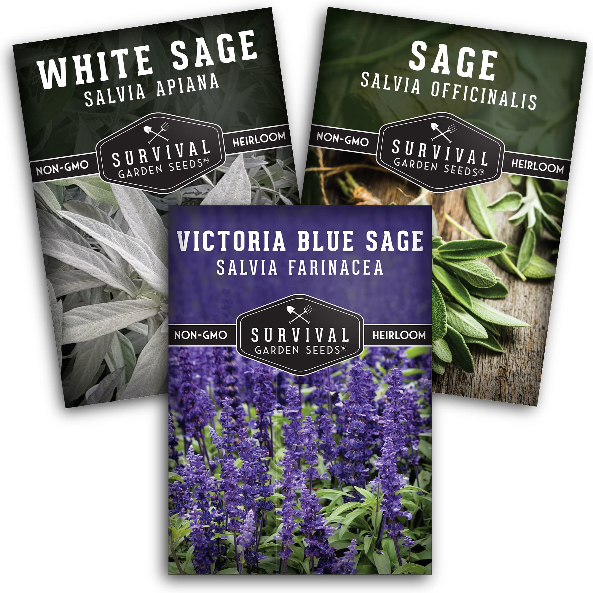 SURVIVAL GARDEN SEEDS White Sage seed packet for easy home cultivation